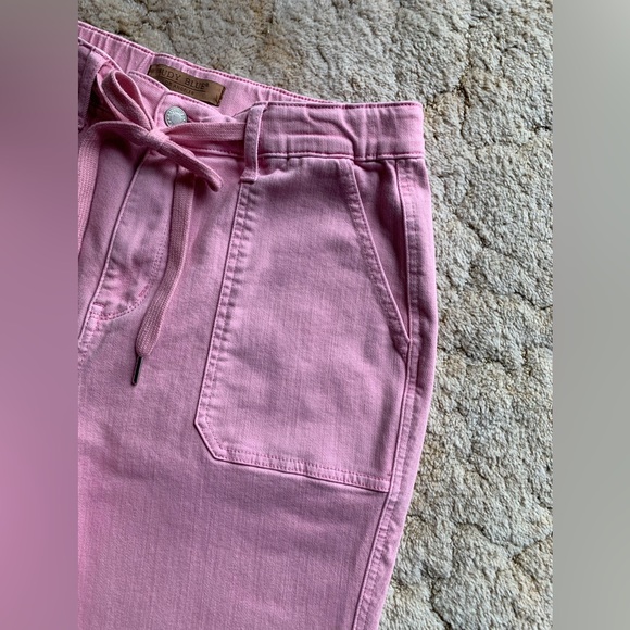 EUC JUDY BLUE LOS ANGELES PINK GARMENT DYED HI-RISE JOGGER JEANS IN SIZE 9/29 - Picture 10 of 15